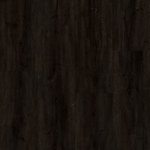 Alternative view of Mocha