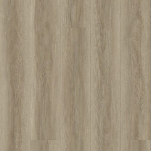 Alternative view of Sahara Oak