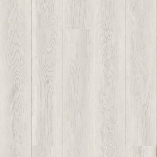 Alternative view of Alaska Oak