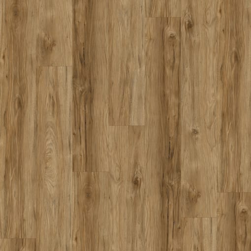 Alternative view of Honey