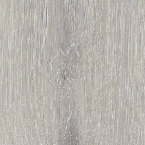 Alternative view of Samsun Oak