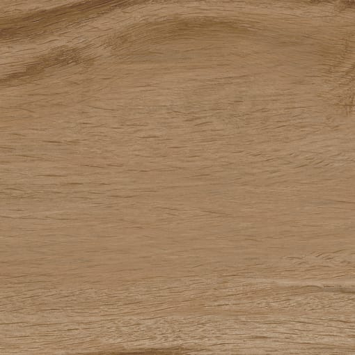 Alternative view of Taiga Nogal