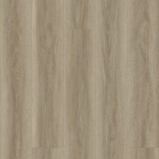 Alternative view of Sahara Oak