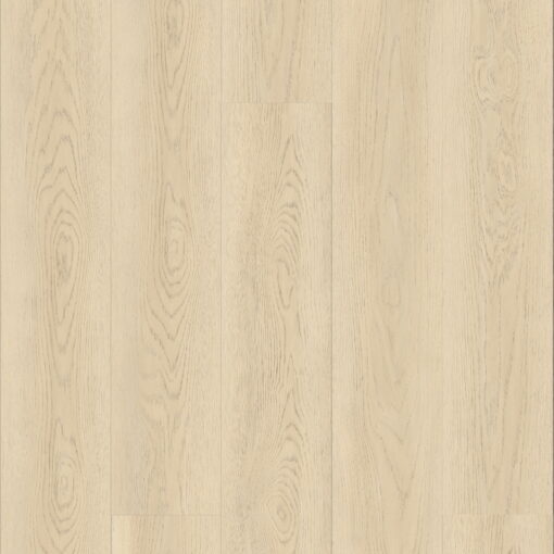 Alternative view of Canyon Oak