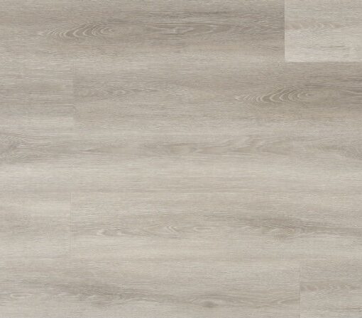 Alternative view of Navajo Oak