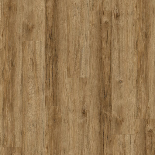 Alternative view of Honey