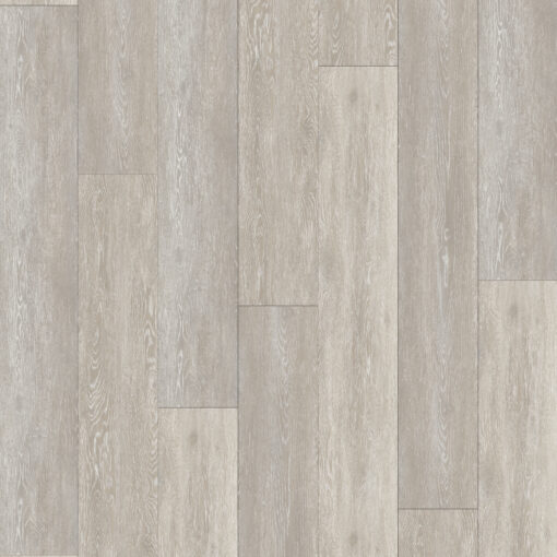 Alternative view of Oatmeal