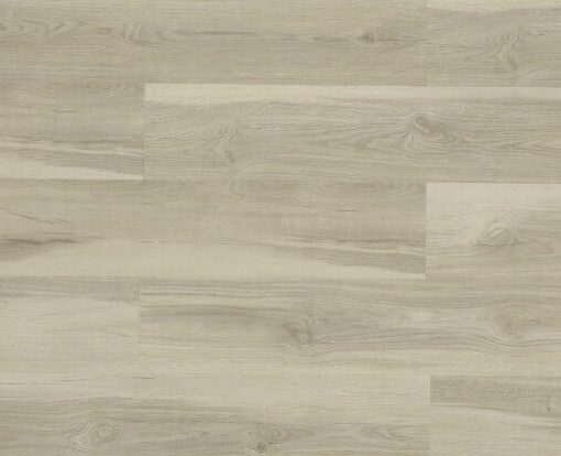 Alternative view of Wheat Oak