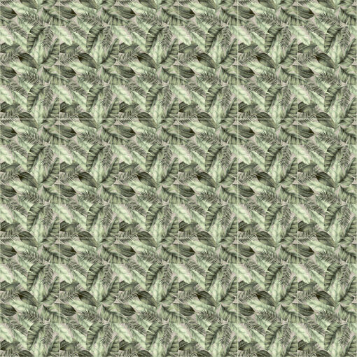 Alternative view of Amazonia