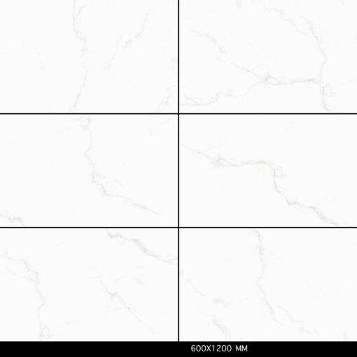 Alternative view of Satuario Matte