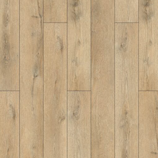 Alternative view of Bronze