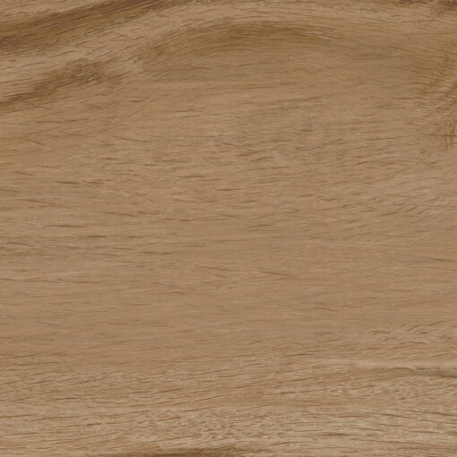 Alternative view of Taiga Nogal